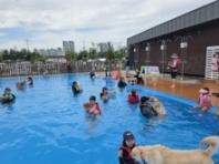 시흥시, '보호를 넘어 공존으로'…반려동물 복지 공공성 대폭 강화