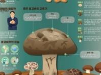 산림청, 3월 이달의 임산물로 ‘표고버섯’ 선정