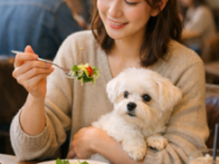 식약처, "반려동물 식당 이용 더 쉬워진다"... QR 인증 도입 및 거리 제한 완화