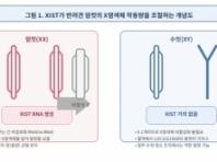 반려견도 사람처럼 '유전자 균형' 맞추는 핵심 열쇠 세계 최초 확인