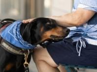 동물단체, 법무장관의 민법 개정 의사 환영…“동물은 물건 아니다”