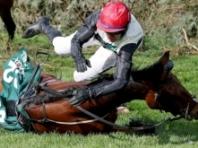 "경마는 피로 물든  스포츠"...그랜드 내셔널 (Grand National)이 이를 증명한다