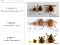 봄철 참진드기 '위험'…반려동물·가축 감염 주의