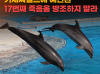 동물자유연대, "거제 씨월드에 예견된 17번째 고래의 죽음을 방조하지 말라"