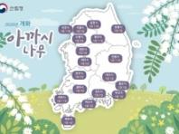 아까시나무·마가목 언제 필까…산림과학원, 개화  예측지도 공개