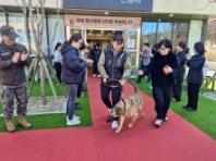 군견, 경찰견, 탐지견, 119구조견의 행복한 견(犬)생 2막을 지원합니다!