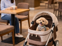 세종시 '반려동물 동반 출입 음식점' 지원…사전 컨설팅 제공