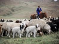 2026년 세계 목초지 및 목축민의 해...알아야 할 다섯 가지