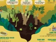 산림청, 5월 이달의 임산물로 ‘두릅’ 선정