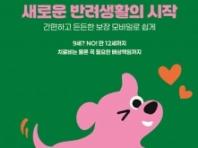 이마트, DB손보와 손잡고 펫보험 출시…고령 반려동물 가입 문턱 낮춰