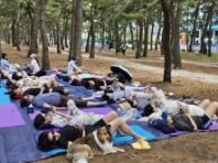 강릉 해변  숲에서 반려동물과 힐링…강릉 펫 가족 페스티벌 13일 개막