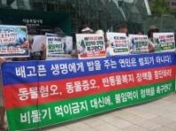 동물보호단체, 비둘기 먹이주기 금지 대신, 불임먹이 정책 촉구
