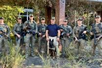 미국, 동물 학대 범죄 단속  '타이거 팀(Tiger Team)' 출범