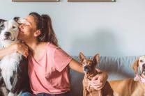 반려동물 사랑의 날 - 2월 20일