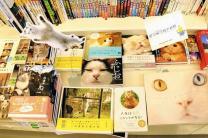 일본  '네코노믹스(Nekonomics)' 3조엔(28조원) 넘는다