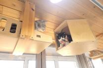 반려동물 안심하고 맡기세요! 서울시, 우리동네 펫위탁소