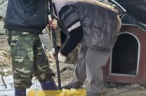 공공기관서 입양된 개 3마리…데려간 그날 잡아먹었다