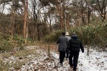 “등산·숲길걷기, 정신질환 위험 10% 낮춘다”...건보공단 3.2만명 4년 추적 결과