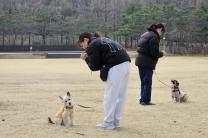 댕댕아, 학교 가자!  '서울 반려동물 시민학교' 무료 강좌 