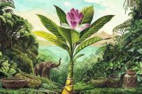 세계 야생동물의 날 국제 청소년 미술 대회 대상 한국의 15세 소녀 유 지아 