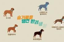 농식품부, '슬기로운 맹견 반려생활' 동영상 배포