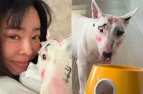 방송인 이혜영, 반려견에 낙서 같은 화장…‘동물 학대’ 논란