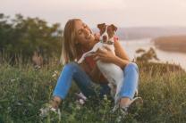 오늘(3월23일)은  '국제 강아지의 날(National Puppy Day)'