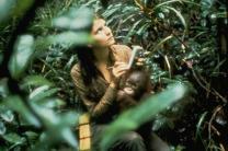 비루테 메리 갈디카스 박사 오랑우탄 연구 50년 여정