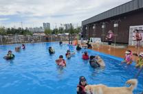 시흥시, '보호를 넘어 공존으로'…반려동물 복지 공공성 대폭 강화