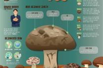 산림청, 3월 이달의 임산물로 ‘표고버섯’ 선정