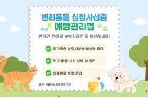 서울 도심 야생 너구리에서 심장사상충 감염 확인…반려견 예방관리 필요