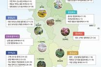 봄꽃-임산물 축제가 한 눈에…산림청, 2026년 상반기 축제 지도 발간