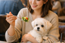 식약처, "반려동물 식당 이용 더 쉬워진다"... QR 인증 도입 및 거리 제한 완화