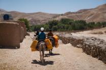 "극심한 폭염이 농식품 시스템을 위기로 몰아넣고 있다"-.FAO-WMO 보고서