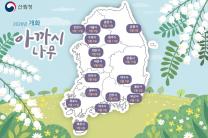 아까시나무·마가목 언제 필까…산림과학원, 개화  예측지도 공개