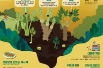 산림청, 5월 이달의 임산물로 ‘두릅’ 선정