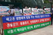 동물보호단체, 비둘기 먹이주기 금지 대신, 불임먹이 정책 촉구