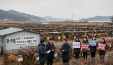 개 식용 종식 D-1년, 남겨진 50만 마리 운명은?… 보상·거취 두고 갈등 여전