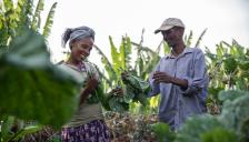  세계보건기구(WHO), 세계동물보건기구(WOAH) 등 4개 국제기구  '원헬스' 협력 강화