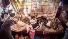 춘천 아파트 '애니멀 호딩' 비극 반복… "구조해도 또 데려와" 이웃 고통 심화