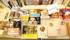 일본  '네코노믹스(Nekonomics)' 3조엔(28조원) 넘는다