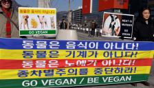 "동물은 음식 아니다"…동물보호 비건 채식 단체 공동 촉구  