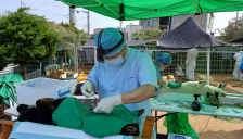 경기도, ‘찾아가는 동물보호시설 진료활동 지원’