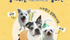 '강아지의 날' 역대급 전시회, 유기견 입양 캠페인 등 다양한 행사