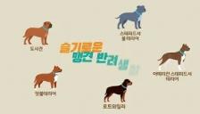 농식품부, '슬기로운 맹견 반려생활' 동영상 배포
