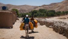 "극심한 폭염이 농식품 시스템을 위기로 몰아넣고 있다"-.FAO-WMO 보고서