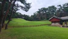 단종-정순왕후, 장릉과 사릉에서 '꽃'으로 이어진다