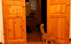 나까지 놀람 주의