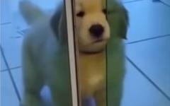 거기 누구 없소???