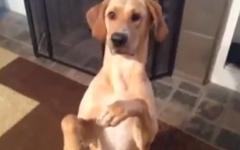 사랑의 총알 탕~!